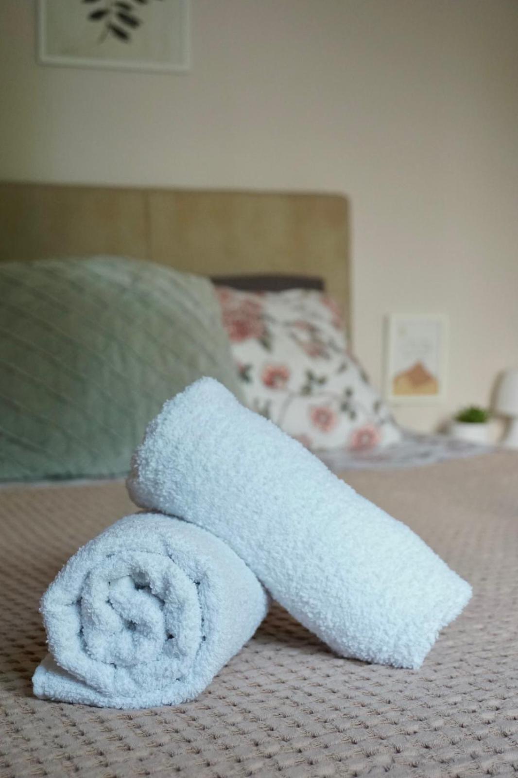 Apartman_Krstic_1 Subotica Ngoại thất bức ảnh