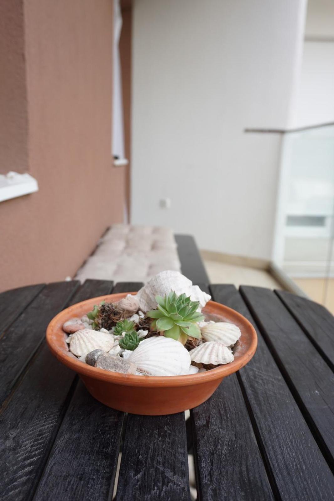 Apartman_Krstic_1 Subotica Ngoại thất bức ảnh